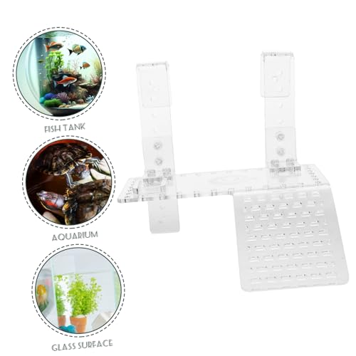 BAZEITFLOW Schildkröten Terrasse mit Rampe Hängende Schwimmende Sonnenplattform für Wasserschildkröten Geeignet für Aquarium Fördert Bewegung und Klettern BAZEITFLOW Schildkröten Terrasse mit Rampe Hängende Schwimmende Sonnenplattform für Wasserschildkröten Geeignet für Aquarium Fördert Bewegung und Klettern von BAZEITFLOW