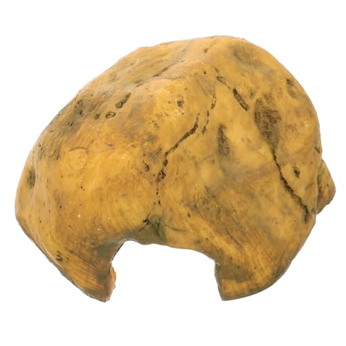 BAZEITFLOW Simulation Reptilienversteck aus Kunstharz für Schildkröten Basking und Dekoration für Aquarien für Reptilien Wie Schlangen und Frösche Langlebig BAZEITFLOW Simulation Reptilienversteck aus Kunstharz für Schildkröten Basking und Dekoration für Aquarien für Reptilien Wie Schlangen und Frösche Langlebig von BAZEITFLOW