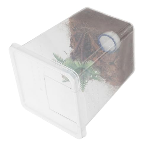 BAZEITFLOW Springspinnen Fütterungsbox Transparentes Ausbruchsicheres Terrarium für Kleine Haustier Spinnen und Reptilien Kompakte Zuchtbox für Einfache Pflege und Beobachtung von BAZEITFLOW