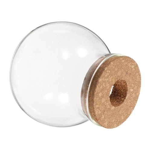 BAZEITFLOW Terrarium Pflanzenvermehrungsbehälter Korkglas Für Landschaften Transparentes Pflanzenglas Für Moos Und Sukkulenten Öffnung von BAZEITFLOW