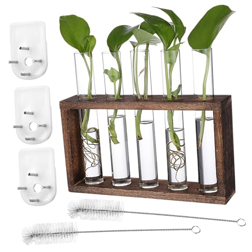 BAZEITFLOW Testrohr Pflanzenhalter mit Glasröhrchen und Holzständer Wandhängend für Pflanzenvermehrung Inklusive Reinigungsbürsten und Nagelhalterungen Geeignet für Wohnzimmer Büro Balkon BAZEITFLOW Testrohr Pflanzenhalter mit Glasröhrchen und Holzständer Wandhängend für Pflanzenvermehrung Inklusive Reinigungsbürsten und Nagelhalterungen Geeignet für Wohnzimmer Büro Balkon von BAZEITFLOW