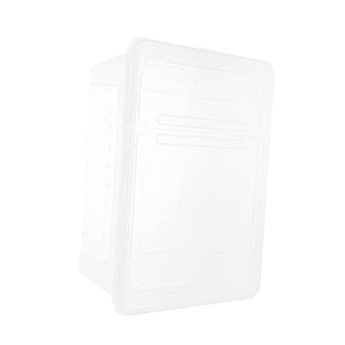 BAZEITFLOW Transparente Reptilien Fütterungsbox Mittlere Stabiles Kunststoff Terrarium für Spinnen Geckos Echsen und Insekten Leicht Stapelbar Tragbar für Einfache Pflege und Transport von BAZEITFLOW