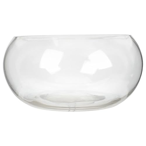 BAZEITFLOW Transparente Runde Glasfischschale Vielseitige Hydroponik Pflanzschale und Aquarium Klare Tischdekoration für Blumen Terrarien Goldfische und Wasserkulturen BAZEITFLOW Transparente Runde Glasfischschale Vielseitige Hydroponik Pflanzschale und Aquarium Klare Tischdekoration für Blumen Terrarien Goldfische und Wasserkulturen von BAZEITFLOW