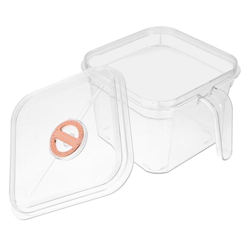 BAZEITFLOW Transparentes Quadratisches Fischglas mit Abdeckung und Griff Bruchsicher Leicht Kleines Betta und Goldfisch Aquarium für Schreibtisch und Regal Dekoratives Cube Terrarium Sofort von BAZEITFLOW