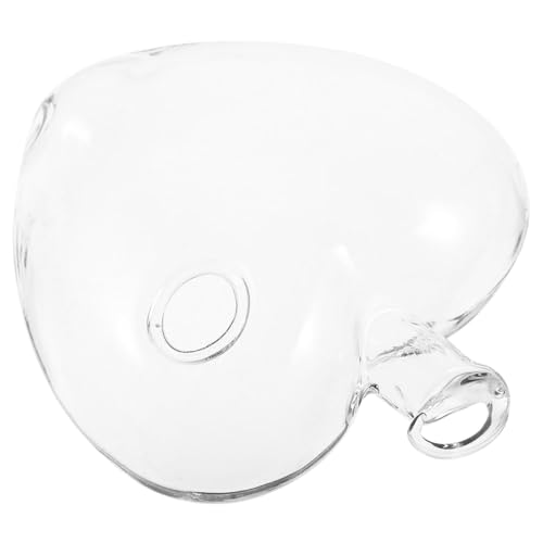 BAZEITFLOW Vase in Herzform Weinregal künstliche Pflanzen Schüssel Pflanzenständer Wasserflasche büro Dekoration bürodekoration Heart vase einmachgläser Wasserpflanzvase Hausvase Transparent von BAZEITFLOW