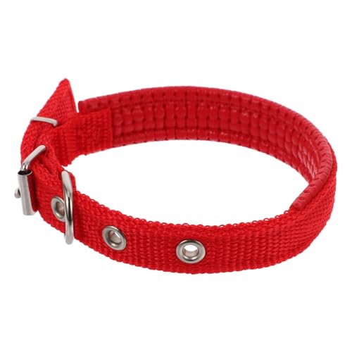 BAZEITFLOW Verschleißfestes Katzenhalsband, Verstellbares Haustierhalsband, Bequeme Hundehalsdekoration, Weiches Polyesterhalsband Für Kleine, Mittelgroße Und Große Haustiere BAZEITFLOW Verschleißfestes Katzenhalsband, Verstellbares Haustierhalsband, Bequeme Hundehalsdekoration, Weiches Polyesterhalsband Für Kleine, Mittelgroße Und Große Haustiere von BAZEITFLOW
