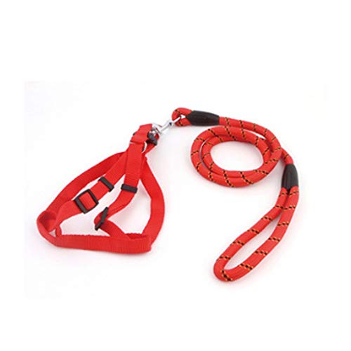 Ketten-Zugseil für Haustiere Mittelgroßes Laufseil für Hunde Pet Supplies Out Safety Traction Rope (Color : B) (A ) von BAtlam