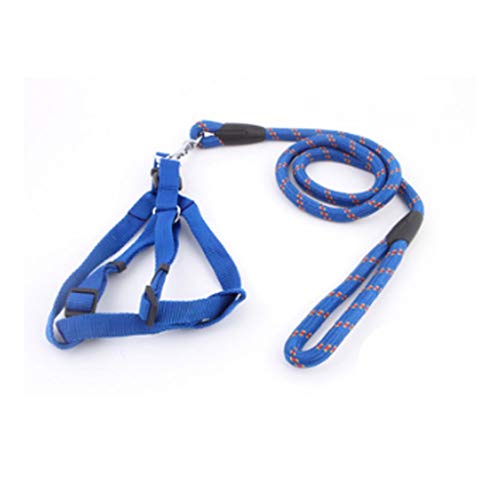 Ketten-Zugseil für Haustiere Mittelgroßes Laufseil für Hunde Pet Supplies Out Safety Traction Rope (Color : B) (C ) von BAtlam