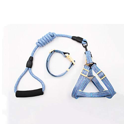 Pet Traction Rope Chain Kleines und mittelgroßes Laufseil Pet Supplies Traktionsseil (Color : C) (D ) von BAtlam