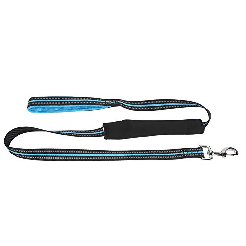 Pet Traktionsseil Nylon Langlebig Bequem Haustier Reflektierende Zugleine Seil Auto Sicherheitsgurt Für Hunde Blau M von BAtlam
