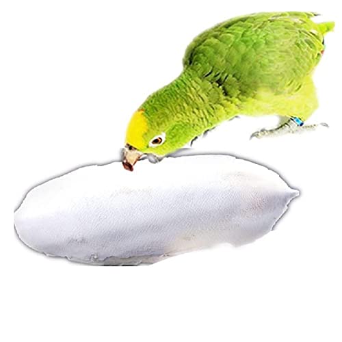 1 Beutel Tintenfisch Knochen Sepia Knochen Tintenfisch Vogelfutter Kalzium Pickstone Pet Supplies Papagei Training Molar Birds Zähne Supplies Wildblöcke Kakadu Futter, Vogelabdeckung Knochen, Vogel von BBASILIYSD