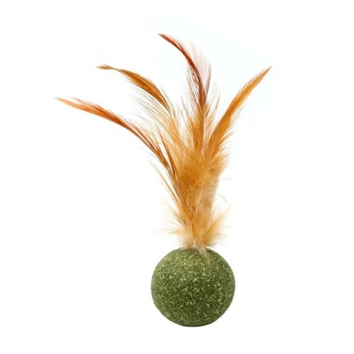 BBASILIYSD Pet Catnip Toys Mint Ball Essbare Katzenminze Ball Gesunde Minze Zähne Jagd Produkte Sauberes Spielzeug Katzen Spiel von BBASILIYSD