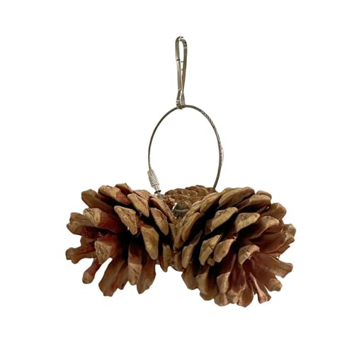 BBASILIYSD Vogelspielzeug für Papageien, natürlicher Tannenzapfen, Kauspielzeug aus Holz, Vogelkäfig-Zubehör, hängbares Vogelkäfig-Spielzeug für Papageien, Sittiche, Nymphensittiche BBASILIYSD Vogelspielzeug für Papageien, natürlicher Tannenzapfen, Kauspielzeug aus Holz, Vogelkäfig-Zubehör, hängbares Vogelkäfig-Spielzeug für Papageien, Sittiche, Nymphensittiche von BBASILIYSD