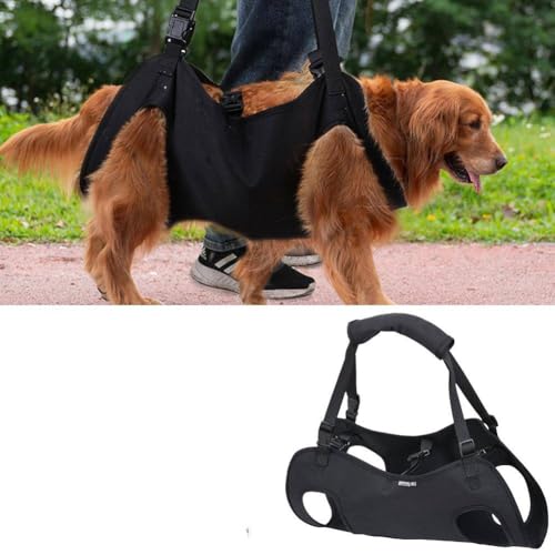 Hundegeschirr zum Heben, verstellbares Hundeschlinge für Hinterbeine, Unterstützung und Rehabilitation, multifunktionale Mobilitätshilfe, für Gelenkverletzungen, Arthritis, Treppenauf- und hinunter Hundegeschirr zum Heben, verstellbares Hundeschlinge für Hinterbeine, Unterstützung und Rehabilitation, multifunktionale Mobilitätshilfe, für Gelenkverletzungen, Arthritis, Treppenauf- und hinunter von BBASILIYSD