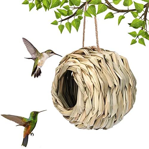 Kolibri-Nisthaus, handgewebtes Kolibri-Nest zum Aufhängen im Freien, gewebte Kugelform Kolibrinest, geeignet für Garten, Balkon, Veranda, Baumstamm von BBASILIYSD