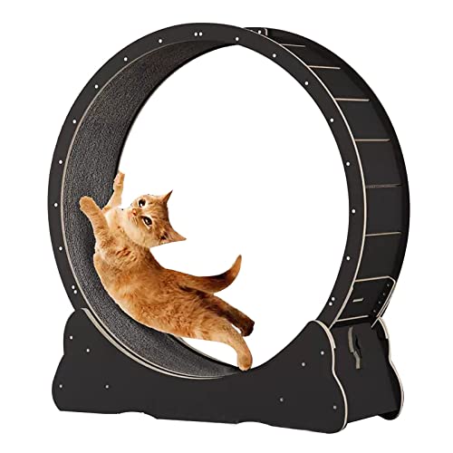 Bodenstehendes Katzenrad for Trainieren, Round-Spin-Katzen-Abnehmgerät – Schwarz/Holzfarbe, mit eingebautem Stummschaltrad, natürliches Massivholz (Color : Black, Size : Medium) von BBAUER
