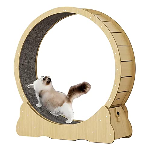 Bodenstehendes Katzenrad for Trainieren, Round-Spin-Katzen-Abnehmgerät – Schwarz/Holzfarbe, mit eingebautem Stummschaltrad, natürliches Massivholz (Color : Wood Color, Size : Large) von BBAUER
