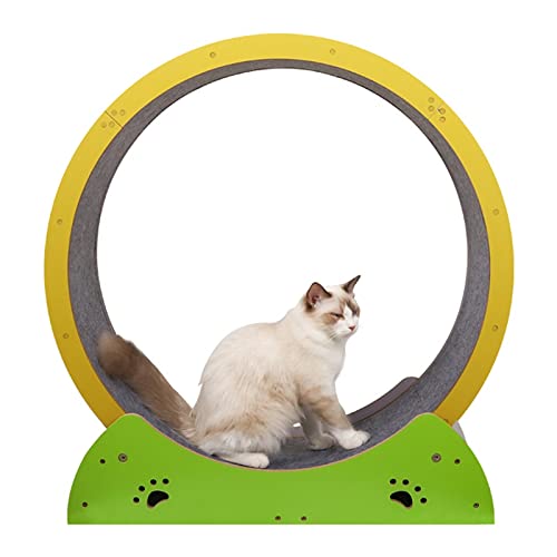 Geräuscharmes Katzenlaufrad for den Innenbereich, niedliches Fitness-Gerät zur Gewichtsabnahme for Katzen Aller Größen, abnehmbare Teppichlaufbahn, 79 cm hoch von BBAUER