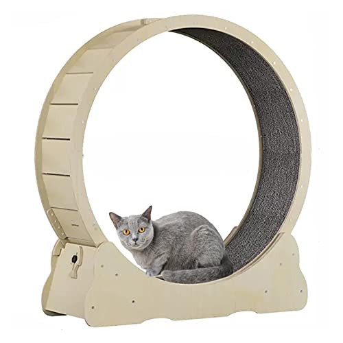 Großes Katzenlaufband mit Teppichboden, Wooedn Cat-Laufrad, rundes Fitnessgerät zur Gewichtsreduktion, natürliche Holzfarbe, 4 Größenoptionen verfügbar (Size : L) von BBAUER