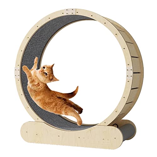Großes Katzenrad – 37/43/50 Zoll hoch, Gewichtsverlustgerät for Katzen im Innenbereich, Robustes Naturholz, Grauer Teppich, bodenstehend, leicht zu reinigen (Color : Gray, Size : Medium) von BBAUER