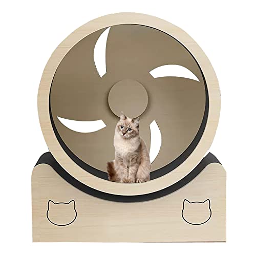 Katzen-Übungsrad im Radstil, Gewichtsverlustgerät for kleine Katzen mit Teppichlaufbahn, Indoor-Katzen-Spin-Sportspielzeug, nahtloses Design, Keine Montage von BBAUER