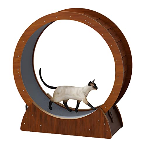 Katzenlaufrad for den Innenbereich, bodenstehendes Laufband zur Gewichtsreduktion for Katzen Aller Größen, mit Sicherheitsschloss, dichte Faserplatte, 88/97/107/117 cm hoch (Size : L) von BBAUER