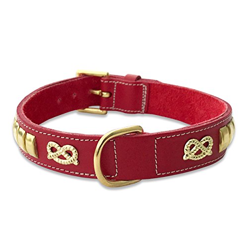 BBD Bull Terrier Halsband, Größe L, Rot BBD Bull Terrier Halsband, Größe L, Rot von BBD Pet Products