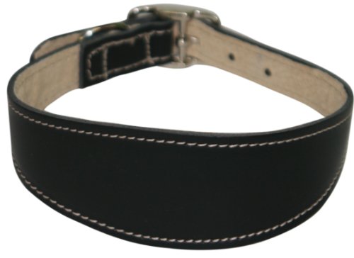 BBD Grey Hound Deluxe Halsband, Schwarz BBD Grey Hound Deluxe Halsband, Schwarz von BBD Pet Products