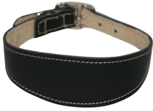 BBD Grey Hound Deluxe Halsband, Schwarz von BBD Pet Products