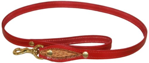 BBD Hundeleine, Rot von BBD Pet Products