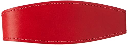 BBD Luxuriöses Hundehalsband für Rennhunde, rot BBD Luxuriöses Hundehalsband für Rennhunde, rot von BBD Pet Products