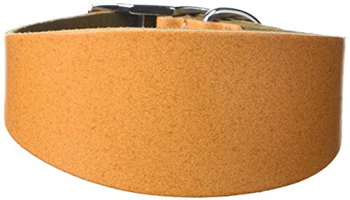 BBD Pet Products Budget Whippet-Halsband, Einheitsgröße, 1,9 x 25,4 bis 30,5 cm, Hellbraun BBD Pet Products Budget Whippet-Halsband, Einheitsgröße, 1,9 x 25,4 bis 30,5 cm, Hellbraun von BBD Pet Products