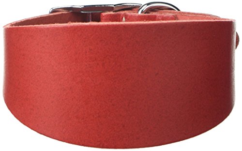 BBD Pet Products Budget Whippet-Halsband, Einheitsgröße, 1,9 x 25,4 bis 30,5 cm, Rot BBD Pet Products Budget Whippet-Halsband, Einheitsgröße, 1,9 x 25,4 bis 30,5 cm, Rot von BBD Pet Products