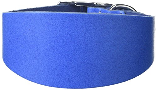 BBD Pet Products Budget Whippet-Halsband, Einheitsgröße, 1,9 x 25,4 bis 30,5 cm, Königsblau BBD Pet Products Budget Whippet-Halsband, Einheitsgröße, 1,9 x 25,4 bis 30,5 cm, Königsblau von BBD Pet Products