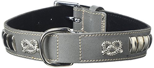 BBD Pet Products Bullterrier Halsband, Einheitsgröße, 0,6 x 45,7 bis 53,3 cm, Grau BBD Pet Products Bullterrier Halsband, Einheitsgröße, 0,6 x 45,7 bis 53,3 cm, Grau von BBD Pet Products