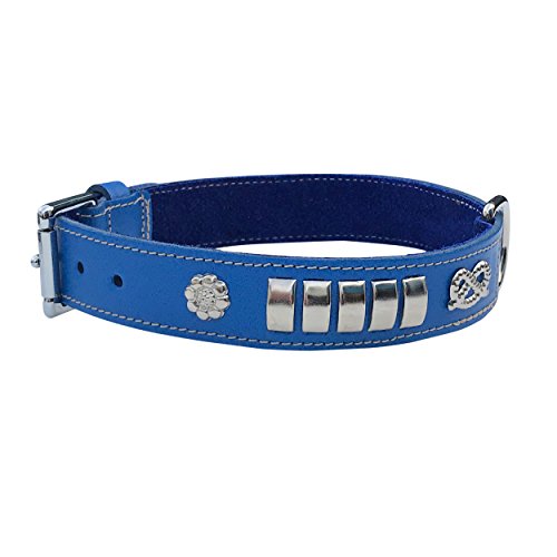 BBD Pet Products Bull Terrier Halsband, Einheitsgröße, 1/4 x 18 bis 53 cm, Royal von BBD Pet Products