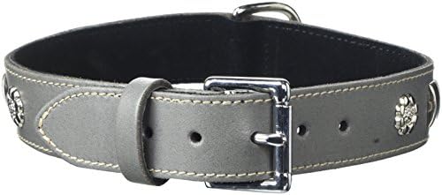 BBD Pet Products Bull Terrier Halsband, Einheitsgröße, 1/4 x 56 bis 63 cm, Grau von BBD Pet Products
