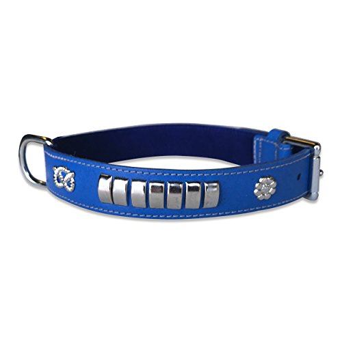 BBD Pet Products Bull Terrier Halsband, Einheitsgröße, 1/4 x 56 bis 63 cm, Königsblau von BBD Pet Products