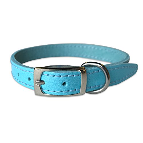BBD Pet Products Einfarbiges Lederhalsband, 1,27 x 30,5 bis 35,6 cm, Einheitsgröße, Blau von BBD Pet Products