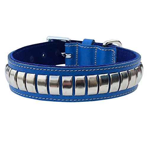 BBD Pet Products Gewölbtes Lederhalsband, Einheitsgröße, 1/4 x 18 bis 53 cm, Königsblau von BBD Pet Products