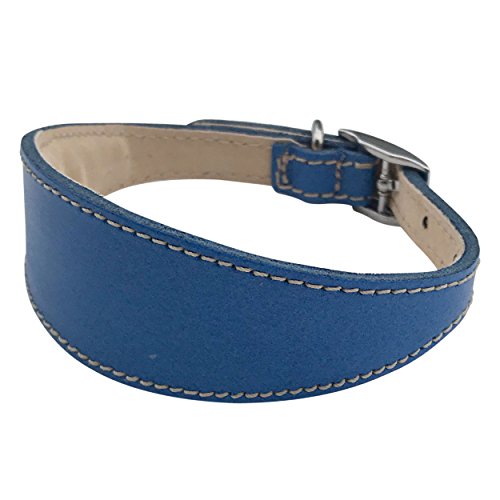 BBD Pet Products Graues Hundehalsband, Einheitsgröße, 1,9 x 35,6 bis 40,6 cm, Königsblau von BBD Pet Products