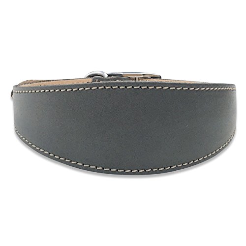 BBD Pet Products Graues Hundehalsband, Einheitsgröße, 3/4 x 14 bis 16 Zoll, Grau BBD Pet Products Graues Hundehalsband, Einheitsgröße, 3/4 x 14 bis 16 Zoll, Grau von BBD Pet Products