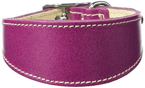 BBD Pet Products Hundehalsband, italienisches Grau, Einheitsgröße, 1,27 x 20,3 cm bis 25,4 cm, Boysenberry BBD Pet Products Hundehalsband, italienisches Grau, Einheitsgröße, 1,27 x 20,3 cm bis 25,4 cm, Boysenberry von BBD Pet Products