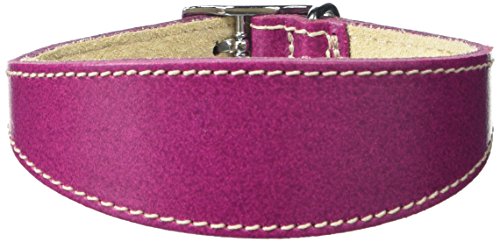 BBD Pet Products Hundehalsband, italienisches Grau, Einheitsgröße, 1,27 x 25,4 bis 30,5 cm, Boysenberry BBD Pet Products Hundehalsband, italienisches Grau, Einheitsgröße, 1,27 x 25,4 bis 30,5 cm, Boysenberry von BBD Pet Products
