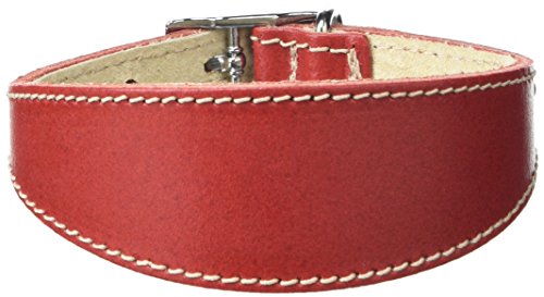 BBD Pet Products Hundehalsband, italienisches Grau, Einheitsgröße, 1,27 x 25,4 bis 30,5 cm, Rot BBD Pet Products Hundehalsband, italienisches Grau, Einheitsgröße, 1,27 x 25,4 bis 30,5 cm, Rot von BBD Pet Products