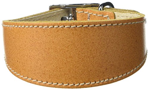 BBD Pet Products Hundehalsband, italienisches Grau, Einheitsgröße, 1,3 x 20,3 cm bis 25,4 cm, Hellbraun BBD Pet Products Hundehalsband, italienisches Grau, Einheitsgröße, 1,3 x 20,3 cm bis 25,4 cm, Hellbraun von BBD Pet Products