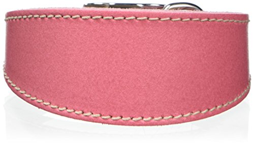 BBD Pet Products Hundehalsband, italienisches Grau, Einheitsgröße, 1,3 x 20,3 cm bis 25,4 cm, Rosa BBD Pet Products Hundehalsband, italienisches Grau, Einheitsgröße, 1,3 x 20,3 cm bis 25,4 cm, Rosa von BBD Pet Products