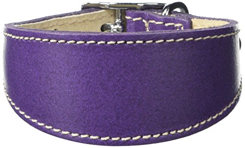 BBD Pet Products Hundehalsband, italienisches Grau, Einheitsgröße, 1,3 x 20,3 cm bis 25,4 cm, Violett von BBD Pet Products