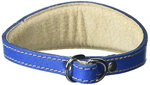 BBD Pet Products Italian G. Hundehalsband, Einheitsgröße, 1,27 x 25,4 bis 30,5 cm, Königsblau von BBD Pet Products