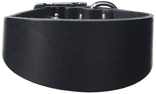 BBD Pet Products Italian G. Hundehalsband, Einheitsgröße, 1,3 x 20,3 cm bis 25,4 cm, Schwarz BBD Pet Products Italian G. Hundehalsband, Einheitsgröße, 1,3 x 20,3 cm bis 25,4 cm, Schwarz von BBD Pet Products